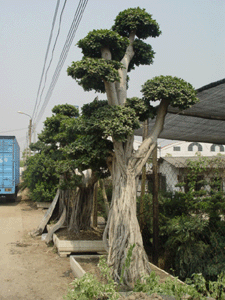 DƬf(shu)Ř(sh)
ςˣŘ(sh)
ςr(sh)g2004/11/8