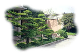 DƬfG^
ςˣG^
ςrg2004/8/17