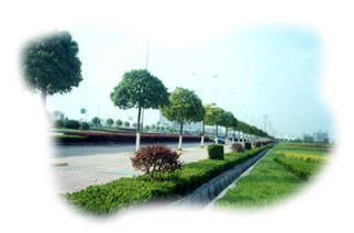 DƬfG^
ςˣG^
ςrg2004/8/17