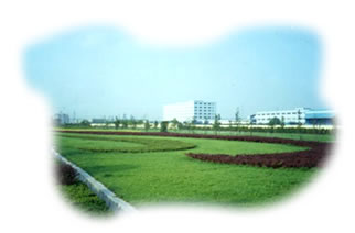 DƬfG^
ςˣG^
ςrg2004/8/17