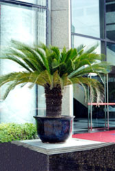 DƬfF
ςˣF
ςrg2004/8/18